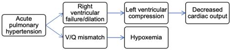 Amniotic Fluid Embolism - OpenAnesthesia