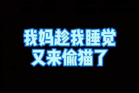 我妈趁我睡觉又来偷猫了，被我发现后，竟然还把七七藏起来