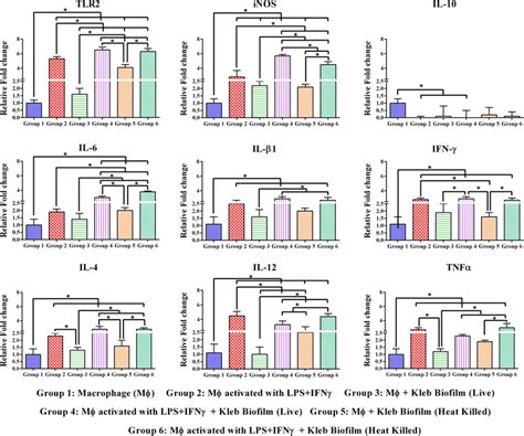 Cytokine gene expression assay. Evaluation of cytokines in RAW 264.7 ...