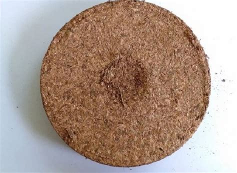 Brown Block Coir Pith Disc Packaging Size Kg Packaging Type