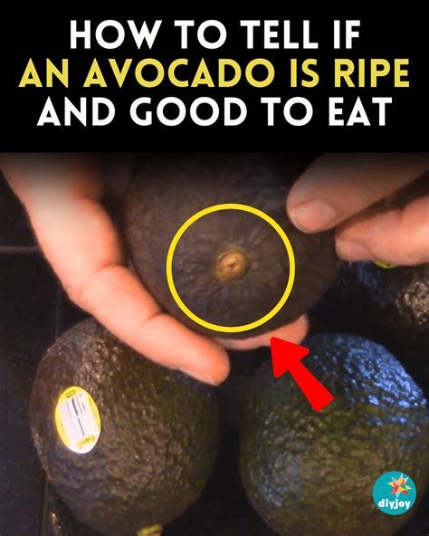 How To Tell If An Avocado Is Ripe And Good To Eat