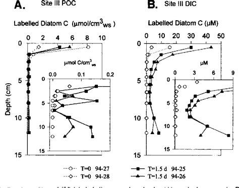 Figure From Rapid Subduction Of Organic Matter By Maldanid