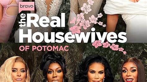 The Real Housewives Of Potomac Tv Series 2016 Episode List Imdb