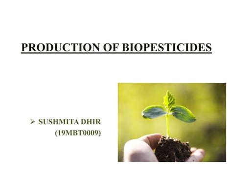 Production Of Biopesticides Ppt