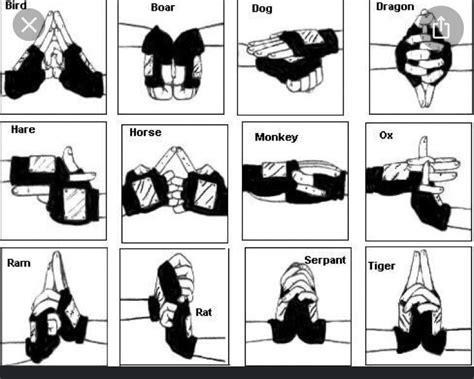 I found out how to do naruto hand signs with this . : r/Naruto