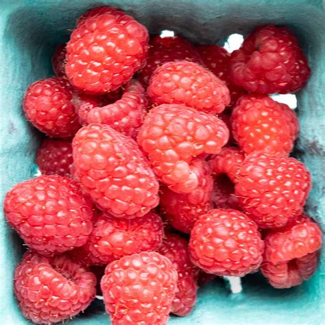Raspberry flavor pairings & recipes - Ask the Food Geek 