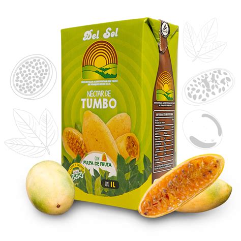 Néctar de tumbo tetra pack 1L Del Valle