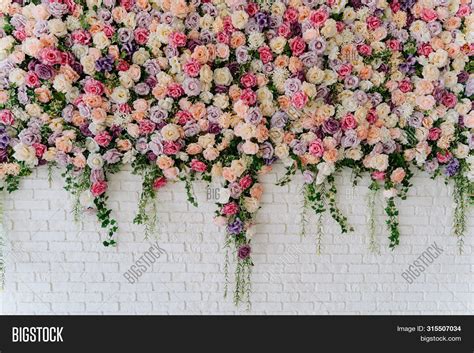 Beautiful Decorative Image & Photo (Free Trial) | Bigstock