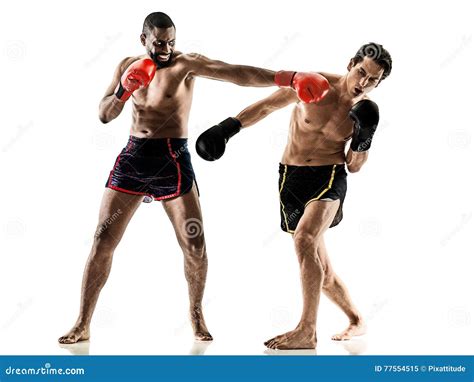 Kickboxing Kickboxer Boxing Men Isolated Stock Image Image Of Studio