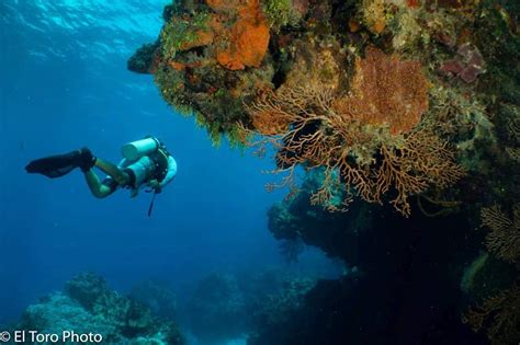 deep diving