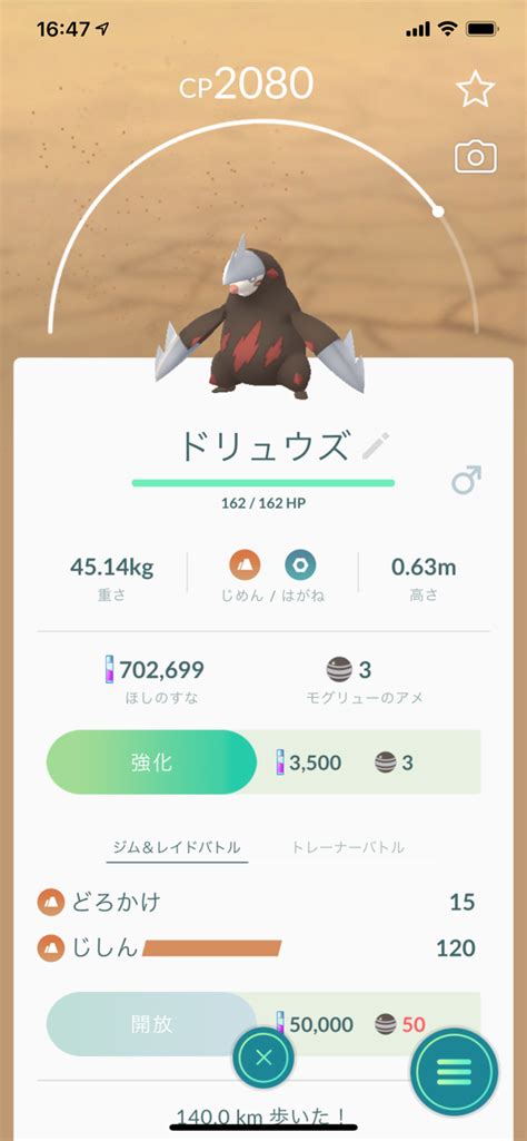 メシアブログ ポケモンgoドリュウズ