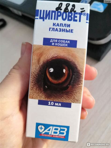 Глазные капли Ципровет - «Самые эффективные капли!» | отзывы