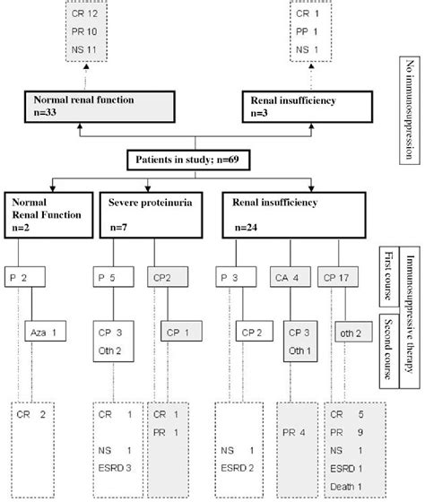 Figure 1 From Restrictive Use Of Immunosuppressive Treatment In Patients With Idiopathic