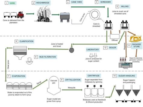 Steps involved in Sugar Production