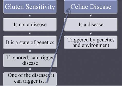 The Many Heads Of Gluten Sensitivity Gluten Free Society