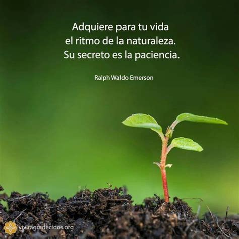 Frases Para Proteger El Medio Ambiente Citas De Vida Frases