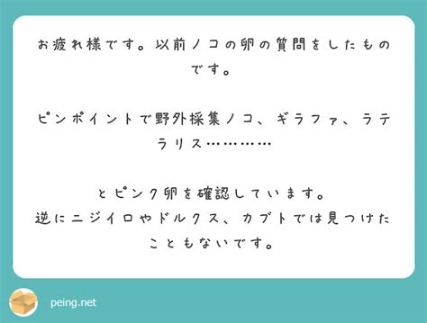 お疲れ様です。以前ノコの卵の質問をしたものです。 ピンポイントで野外採集ノコ、ギラファ、ラテラリス………… Peing 質問箱