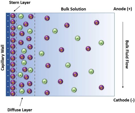 Development Of A Microfluidic Capillary Electrophoresis Mass Spectrometry Platform For The