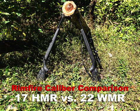 17 Hmr Vs 22 Wmr Rimfire Caliber Comparison