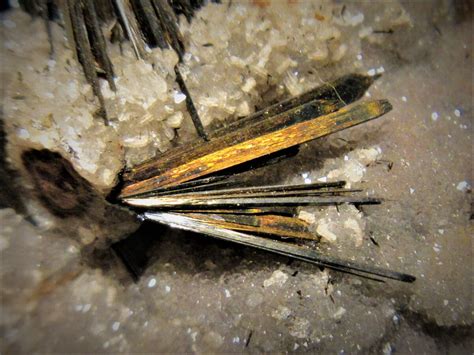 Mineralienatlas Lexikon - Media Data Show