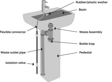 [DIAGRAM] Carbon Sink Diagrams - MYDIAGRAM.ONLINE