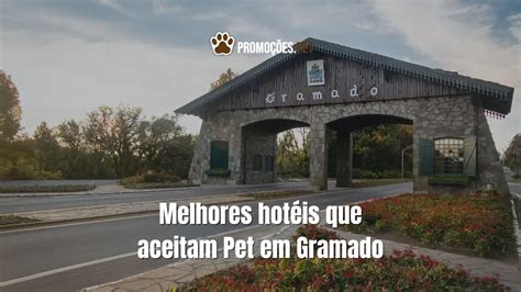 Hotel Pet Friendly - Encontre o melhor hotel Pet Friendly em Campos do Jordão - 🐾 Blog da ...