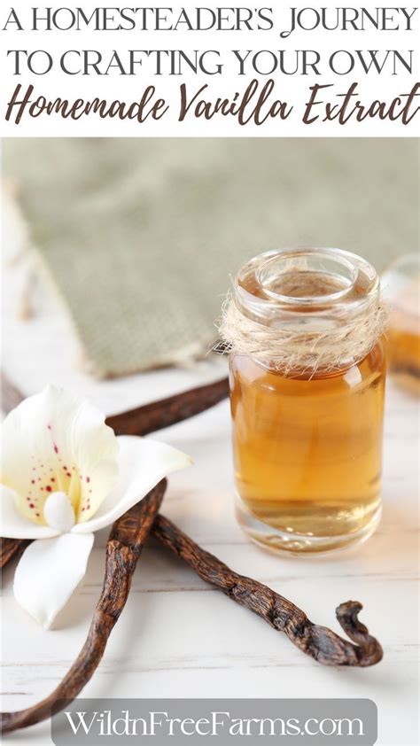 A Homesteader’s Journey To Crafting Homemade Vanilla Extract Recipe Homemade Vanilla