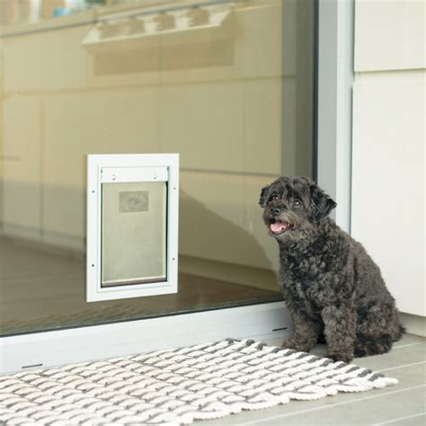 Pet Doors – Hakuna Pets US