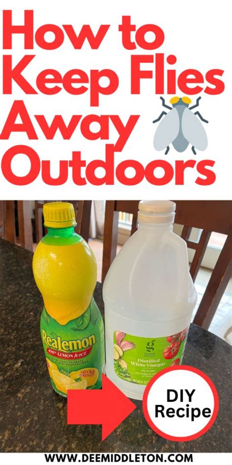 How To Keep Flies Away Outdoors Keep Flies Away Fly Repellant