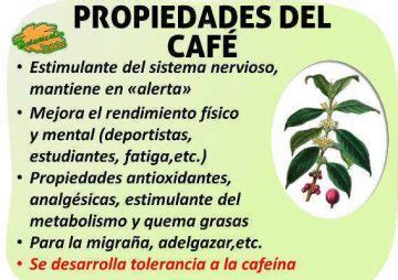 Propiedades del café Botanical online