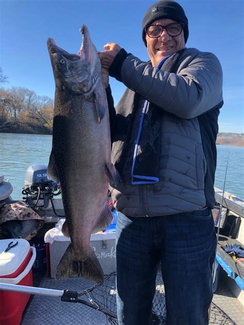 Sacramento River Fish Report Sacramento River King Salmon On The