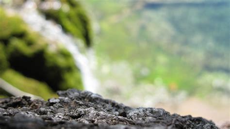 Wallpaper Sunlight Forest Depth Of Field Water Rock Nature