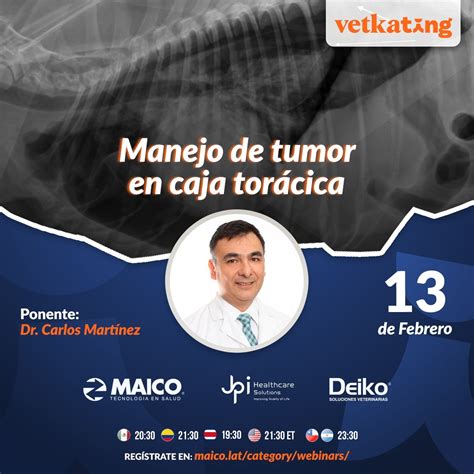 Blog – Deiko