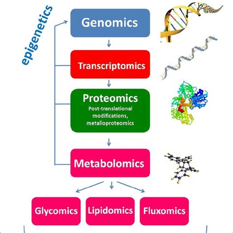 Pdf Proteomics Metabolomics And Lipidomics In Reproductive