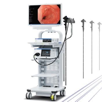 Gastroscopes Gastroenterology Ultrasound Processors