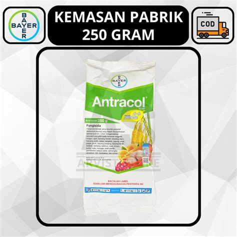 Jual Fungisida Antracol Wp Zinc Bayer Propineb Gram Shopee