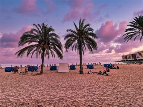 Praia à beira mar palmeiras paisagem após o pôr do sol em alicante