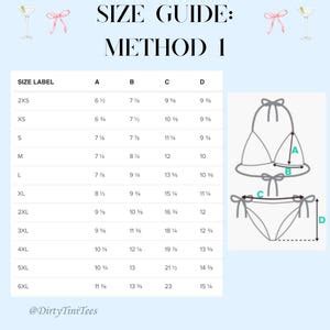 Pink Bow Bikini Pink Ribbon Bow Summer Cocktail Beach Wear Vacation Bachelorette Party Halloween