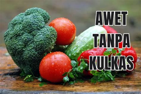 Anak Kos Harus Tahu Tips Simpan Sayuran Agar Tetap Awet Meski Tanpa