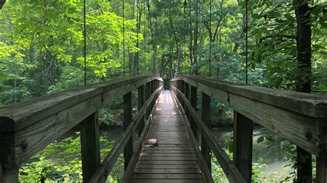 Appalachian Trail Suspension Bridge Over Kimberling Creek In Southwest