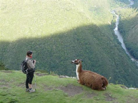 Luxury Inca Trail trek, Peru | Responsible Travel