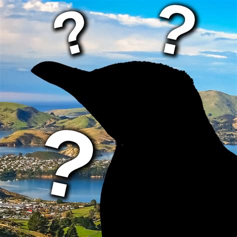 The NZ Bird of the Year 2024 has been decided thanks to a bunch of