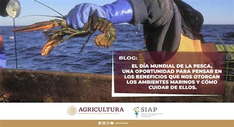 El Día Mundial De La Pesca Una Oportunidad Para Pensar En Los