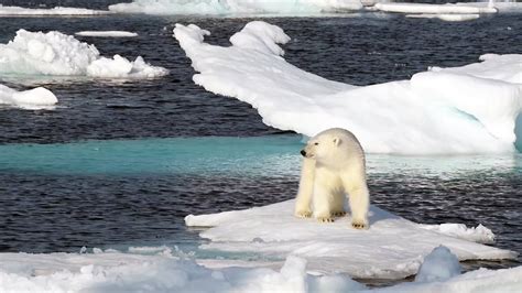 ¿Cuánto sabes sobre el cambio climático?