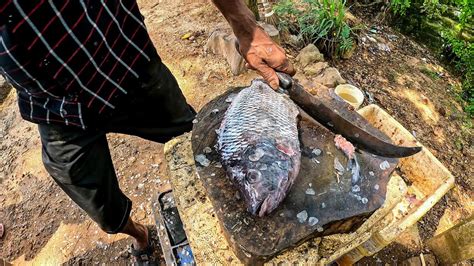 Live Expert Tilapia Fish Cutting In Sri Lanka Amazing Big Fish