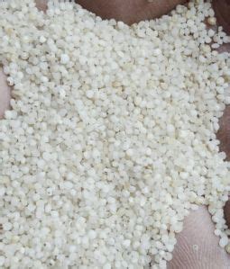 Kodo Millet Get Latest Price Mandi Rates From Dealers Traders