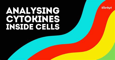 Biorbyt on LinkedIn: #flowcytometry #immunology #research #cytokines # ... 