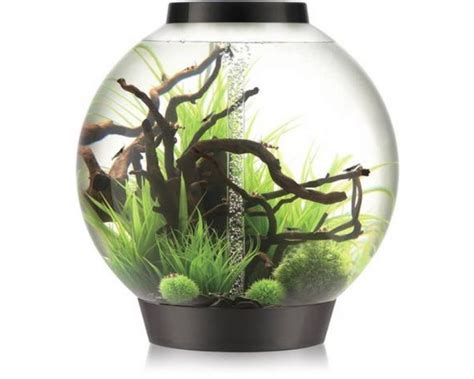 Aquarium Biorb Classic Mcr Liter Zwart Koop Nu Bij Haxo