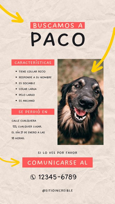 P Gina Explor Plantilla De Mascotas Personalizables Gratis Canva