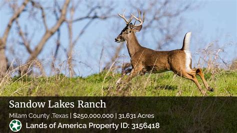 10 Most Expensive Ranches For Sale In America